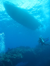 Diving around Maui
